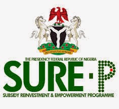 PRESIDENT JONATHAN APPOINTS NEW SURE-P CHAIRMAN