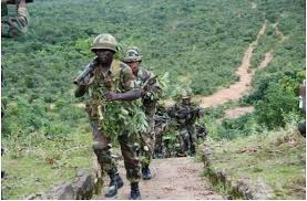 TROOPS RESCUE MORE CAPTIVES FROM SAMBISA FOREST, KILL COMMANDERS