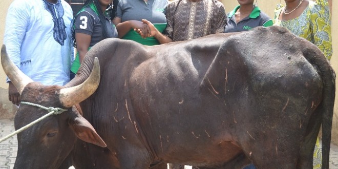 Heritage Bank gives cows to Hb mobile Christmas give away winner