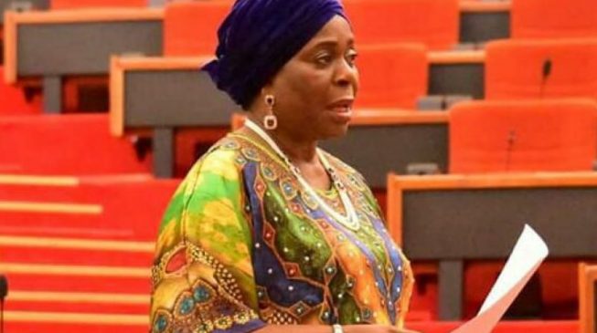 Ekiti 2018: Olujimi vows to fight until right things are done in PDP • ASKS DEFECTORS TO RETURN TO PDP