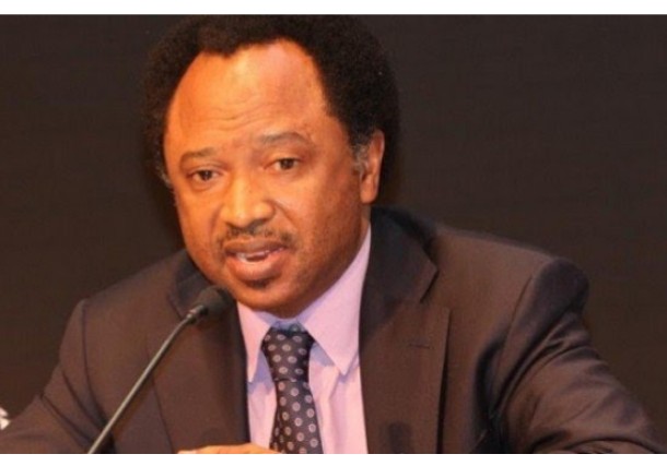 Senator Shehu Sani Sends Strong Message To Those Insulting Atitu