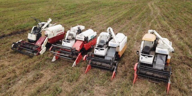 OGUN RICE: FLAG OFF OF HARVESTING OF 2020 WET SEASON RICE PLANTED BY OGUN STATE GOVERNMENT SUPPORTED YOUTHS