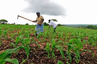 Kwara begins digital census of farmers, agric value chain