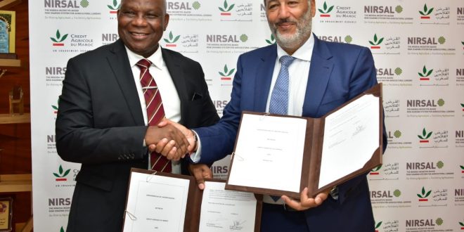 NIRSAL reinvigorates partnership with Morocco’s Bank of Agriculture