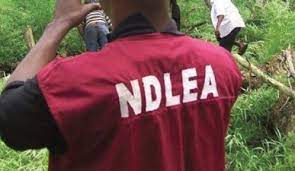 No Ikoyi Lagos properties sold  NDLEA