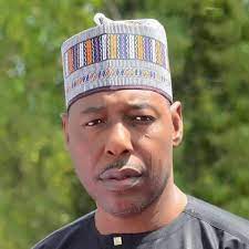 Opinion WHERE DID THIS ZULUM EMERGE FROM?  By Femi Adesina