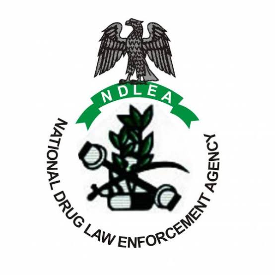 NDLEA Busts Drug Smuggling Rings: Meth and Skunk Hidden in Tomato Paste and Clothes”