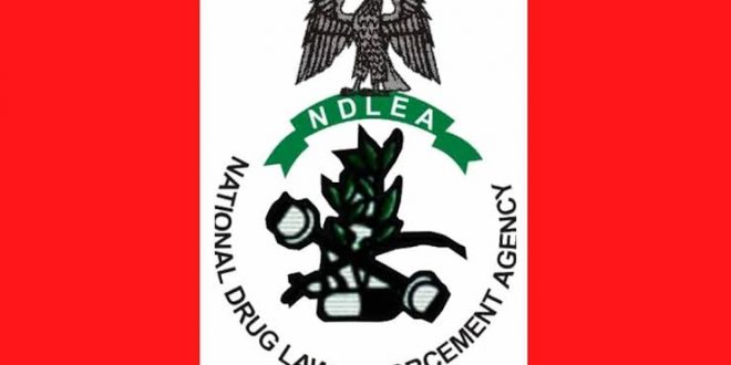 NDLEA Busts Drug Cartels in Lagos: Massive Seizures of Canadian Loud, Codeine, and Tramadol.   By Adetokunbo