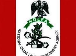 “Elderly Duo Nabbed: NDLEA Arrests 70-Year-Old Grandfather and 65-Year-Old Accomplice in Borno for Drug Trafficking”   By Adetokunbo FAKEYE