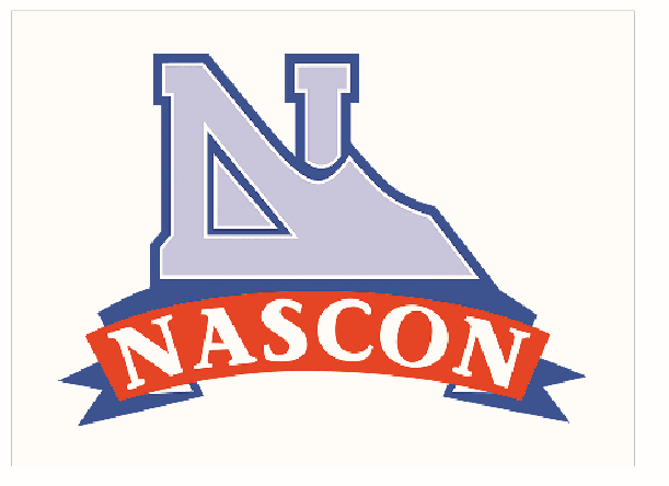 NASCON Allied Industries declares a dividend, and bonus as Profit grows by 151%