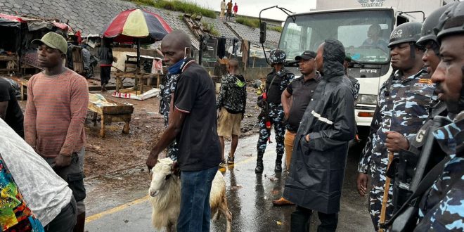 “Lagos Taskforce Cracks Down on Unhygienic Roadside Livestock Markets”