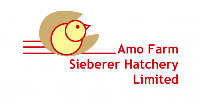 Amo Farm Sieberer Hatchery Celebrates Nigeria’s 64th Independence Anniversary