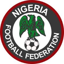 Sports Minister Demands NFF Report on Super Eagles’ World Cup Qualifying Struggles