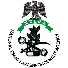 NDLEA Captures Elusive Lagos Drug Baron, Temo, After Years of Pursuit