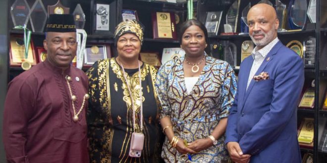 DIASPORA INVESTMENT: DABIRI-EREWA URGES AFRICAN DIASPORA TO INVEST IN AFRICA