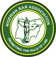 NBA President Osigwe Forms Citizens’ Liberties Committee, Appoints Adeyanju to Uphold Human Rights