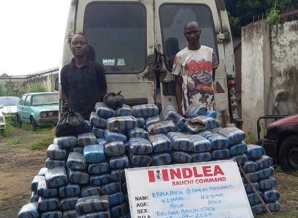 “NDLEA Uncovers Cocaine and Opioids Hidden in Sanitary Pads, Hair Cream at Lagos Courier Firms”.   By Bukar BOLORI