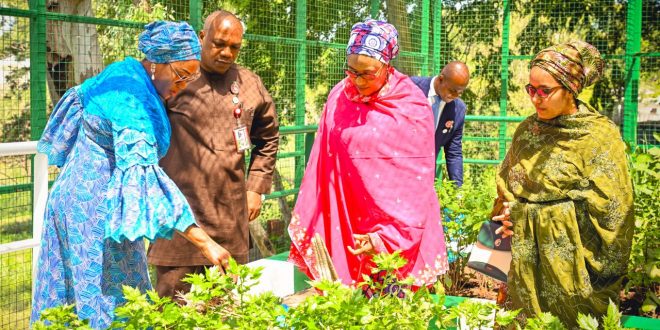 First Lady Oluremi Tinubu Leads Selection Process for #EveryHomeAGarden Winner, Aims for Food Sufficiency