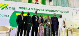 NDIS7: Nigeria’s N5bn Creative Industry, A Goldmine for Diaspora Investment