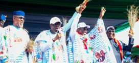 PICTURES: VICE PRESIDENT SHETTIMA, GOVS. SANWO-OLU, ABIODUN, OYEBANJI, OTHERS AT APC GUBER RALLY FOR AIYEDATIWA AT MKO ABIOLA DEMOCRACY PARK, AKURE ON TUESDAY, 13 NOVEMBER 2024